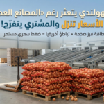 البصل الهولندي يتعثر رغم “المصانع العملاقة”: الأسعار تنزل… والمشتري يتفرّج!