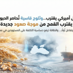 أسطول أميركي يقترب… وثلوج قاسية تُحاصر الحبوب: هل يقترب القمح من موجة صعود جديدة؟