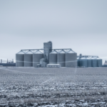 القمح عالق بين برد الشتاء وثقل المعروض: لماذا لا ترتفع الأسعار رغم المخاطر؟