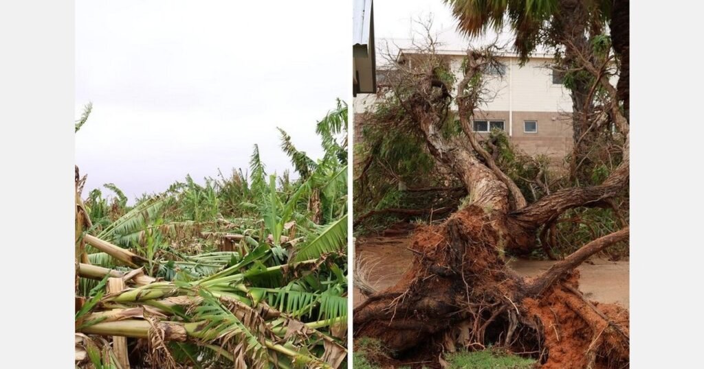 خسائر في المحاصيل الأسترالية بعد مرور الإعصار ميتشل