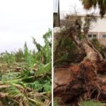 خسائر في المحاصيل الأسترالية بعد مرور الإعصار ميتشل