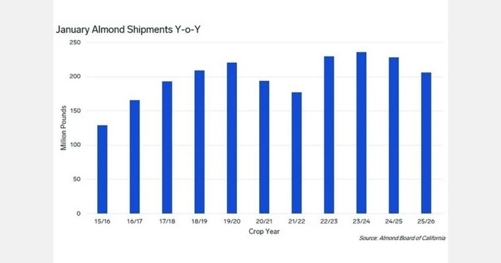 تراجع صادرات اللوز الأمريكية: انخفاض بنسبة 9.8%
