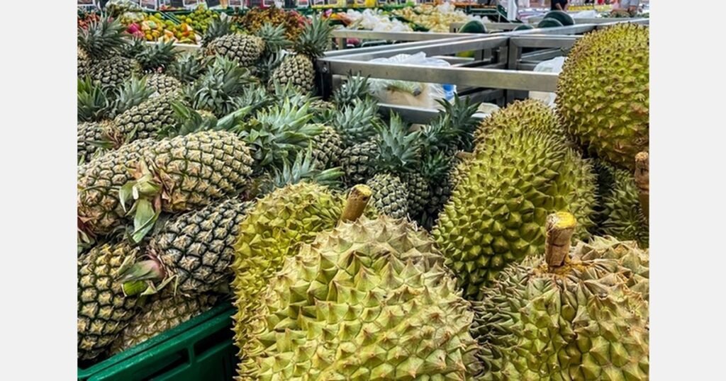 الأناناس أم الدوريان؟ ماليزيا تختار فاكهتها الوطنية
