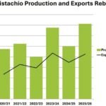 توقعات بانخفاض إنتاج الفستق العالمي في 2025/26