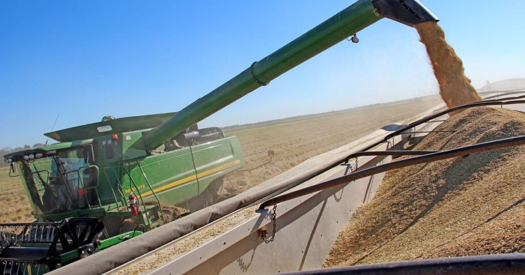 مزارعو الولايات المتحدة يكافحون للحفاظ على أسواق الأرز التقليدية