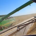 مزارعو الولايات المتحدة يكافحون للحفاظ على أسواق الأرز التقليدية