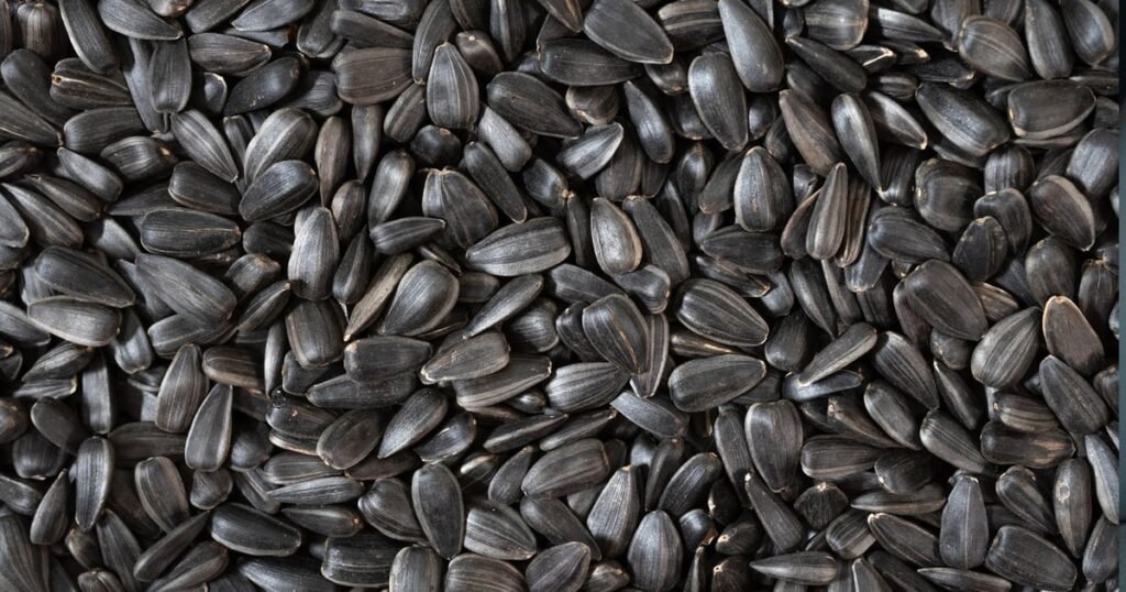 توقعات بارتفاع إنتاج عباد الشمس في داكوتا