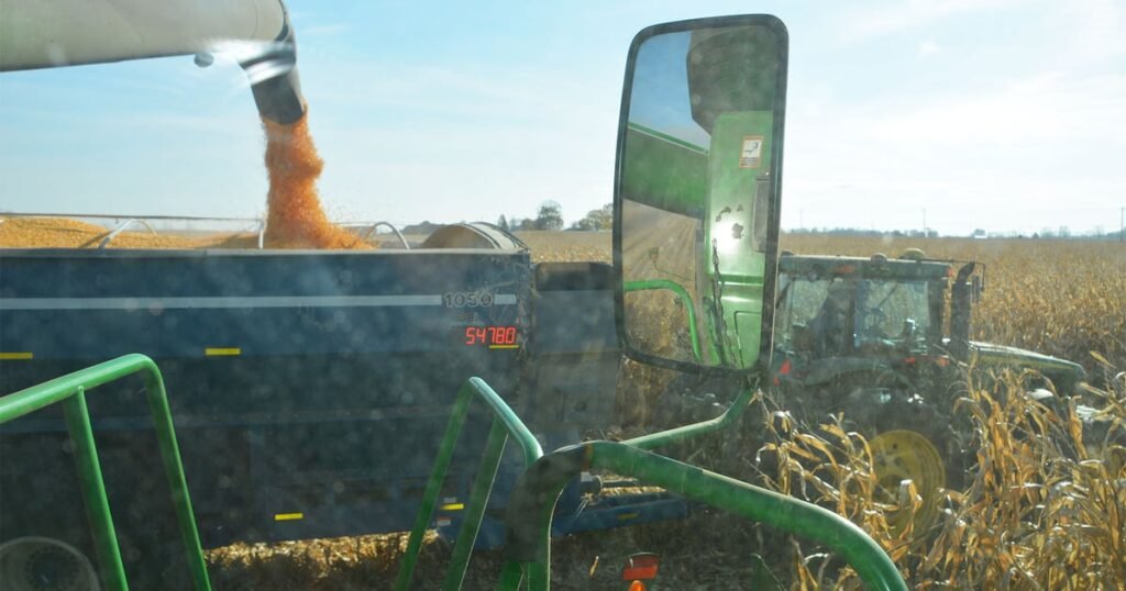 تقييم تحديات تسويق الحبوب الحالية