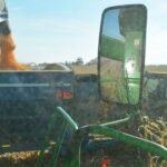 تقييم تحديات تسويق الحبوب الحالية