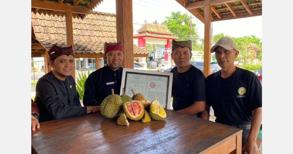 إندونيسيا تمنح مؤشراً جغرافياً لدوريان بانيوانجي الأحمر