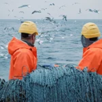 مطالبات بإجراءات عاجلة لتصحيح لائحة مصايد الأسماك الجديدة في الاتحاد الأوروبي