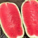 التعريفات الجمركية المرتفعة تحرم المصدرين الموريتانيين من الطلب المغربي القوي على البطيخ