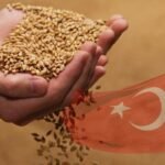 تركيا تطلق 4 ملايين طن من الحبوب: خطوة حاسمة لمواجهة التضخم وتعزيز الصناعة