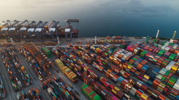 البرازيل: صادرات اللحوم البقريّة تسجّل رقمًا قياسيًا في يناير 2026