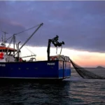 المفوضية الأوروبية تصر على اللوائح الجديدة: ‘النظام يعمل’