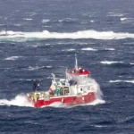 ارتفاع أسعار السلمون: السوق يترقب التقلبات