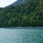 Subpesca: مزارع السلمون التشيلية تتبنى ظروفًا هوائية مستدامة