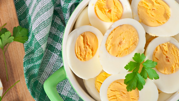 صادرات البيض البرازيلية ترتفع: زيادة كبيرة في يناير