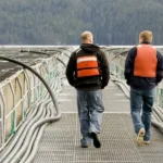 كندا تمنع مزارع سمك السلمون: موي تخسر المعركة القضائية