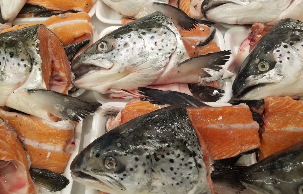 انخفاض أسعار سمك السلمون الأطلسي: نظرة على الأسبوع الرابع