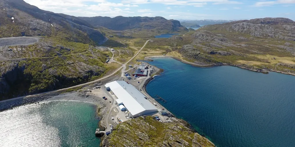 موت جماعي: أكثر من 500 ألف سمك صغير في منشأة سيرماك