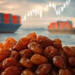 كروم العنب التركية تغرق: سوق الزبيب يستعد لعدم اليقين في عام 2026