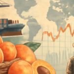 مشمش ملاطية: بين تقلبات الطقس وآمال المزارعين واستقرار الأسعار