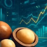 المكاداميا الأسترالية: بيانات آنية تُحدث ثورة في سوق المكسرات العالمي