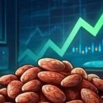 سوق الفاصولياء يترقب: راجما شيترا في دائرة الضوء مع تزايد الطلب وتقلص المعروض