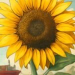 سوق عباد الشمس تحت الضغط: هل ينجح في مواجهة طوفان البذور الزيتية؟