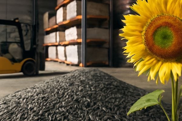 سوق عباد الشمس الصيني: استقرار الأسعار وسط وفرة المعروض وتراجع الطلب