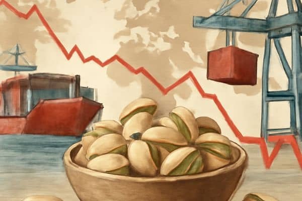 تقلبات في سوق الفستق مع تراجع الإنتاج العالمي وتصدر أمريكا