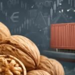 مواجهة سوق الجوز: حملة التفتيش الجمركي الهندية تهز قنوات الاستيراد