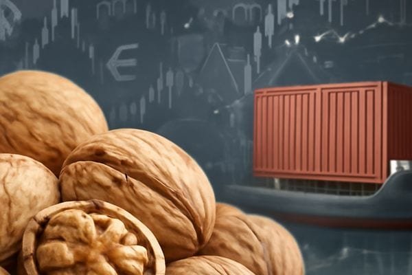 مواجهة سوق الجوز: حملة التفتيش الجمركي الهندية تهز قنوات الاستيراد