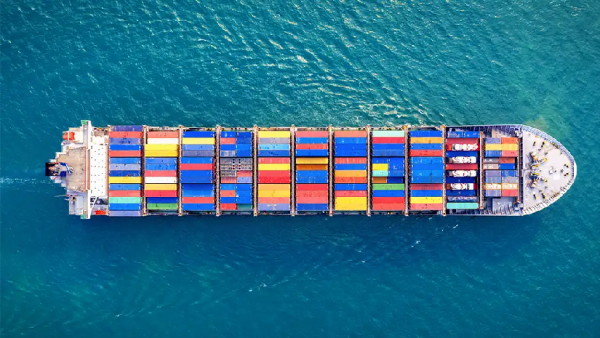 صادرات اللحوم الحمراء النيوزيلندية تحطم الأرقام القياسية في عام 2025