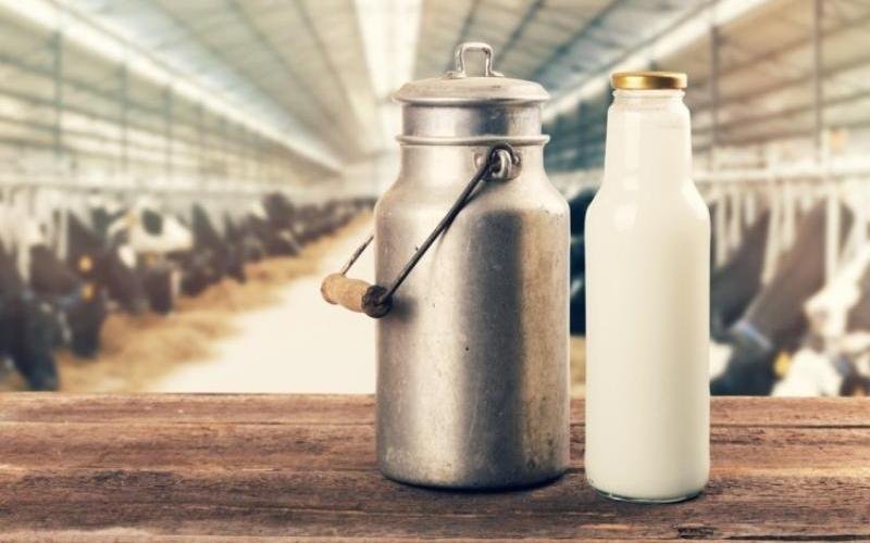 الألبان تحذر: اتفاقية التجارة الحرة الوشيكة تهدد الصناعة