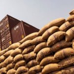 صعود وهبوط الكاكاو: كيف يعيدان تشكيل قواعد السوق الراسخة