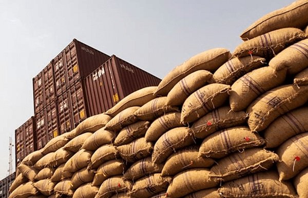 صعود وهبوط الكاكاو: كيف يعيدان تشكيل قواعد السوق الراسخة