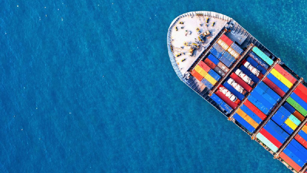 صادرات لحوم الخنزير البرازيلية تسجل زيادة في يناير 2026