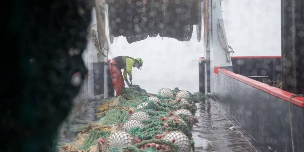 المجلس يقرر: إجراءات جديدة للحد من الصيد العرضي لسمك السلمون الوردي في ألاسكا