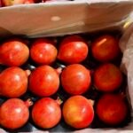 نهاية موسم الرمان في ماهاراشترا يفتح الباب أمام موردين جدد