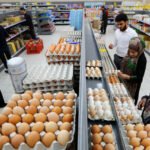 أفغانستان: طموح نحو الاكتفاء الذاتي في الدواجن والبيض