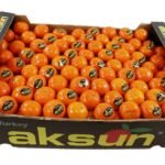 الماندرين: نجم الموسم في تركيا