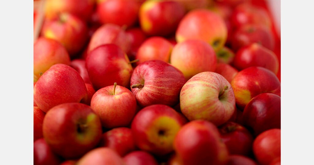 انخفاض مخزون التفاح في مولدوفا إلى 100 ألف طن