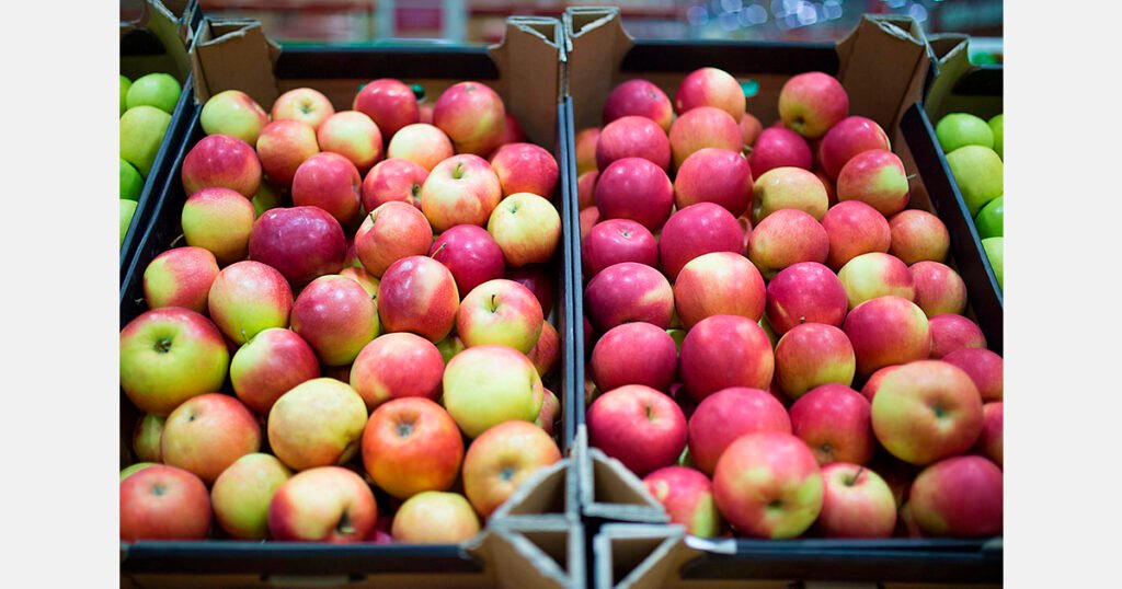 جينينغ تشحن 63 طناً من التفاح إلى نيبال