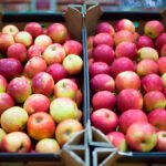 جينينغ تشحن 63 طناً من التفاح إلى نيبال