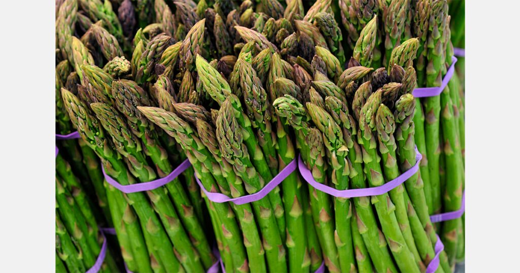 الهليون: اقتراح ليصبح الخضار الرسمي لولاية ماساتشوستس