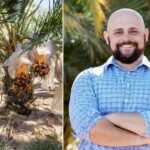 رمضان: موسم الذروة لاستهلاك التمور عالميًا