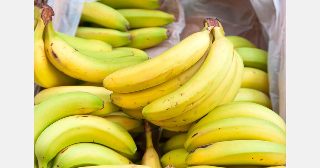 ارتفاع أسعار الموز في فيتنام: طلب تيت يلهب السوق