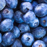 صادرات التوت الأزرق التشيلي ترتفع 6% في أوائل موسم 2025/26